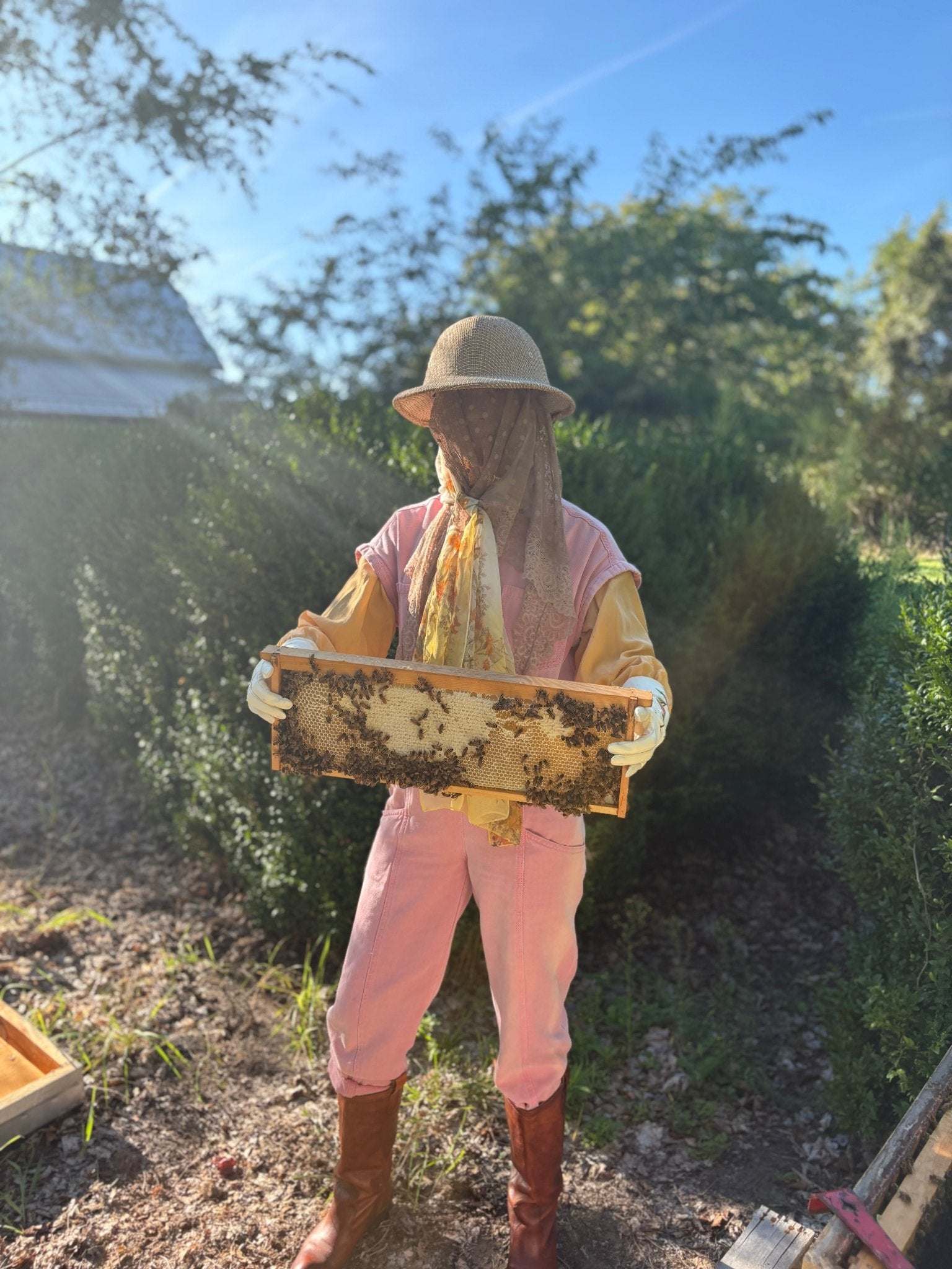 MUSHROOM AND HONEY FACE MASK - Modern Hustle Marketplace