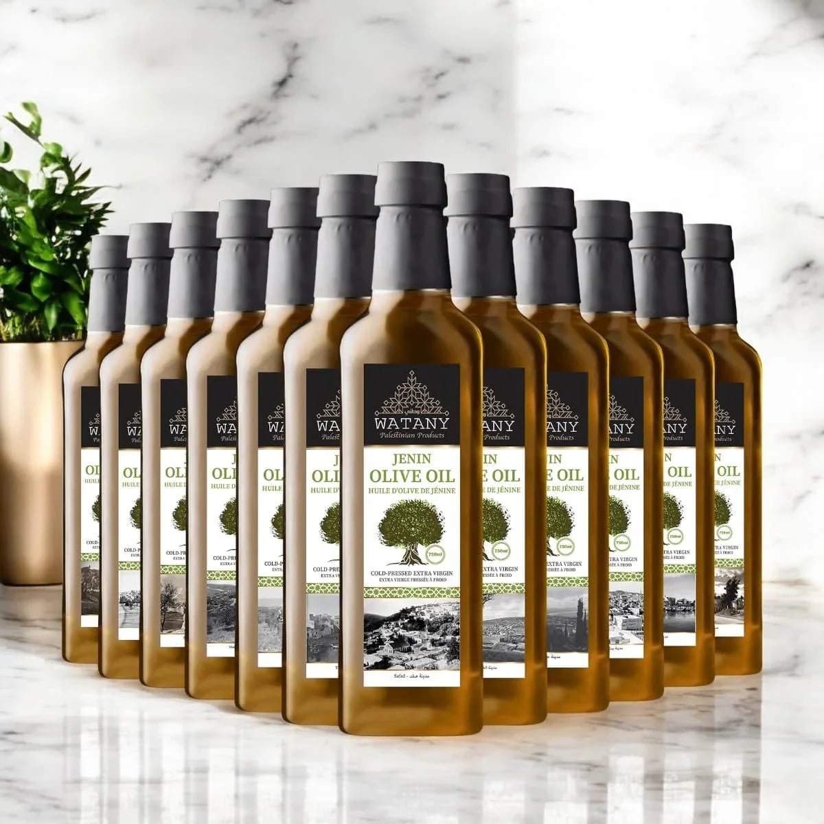 Palestinian Olive Oil from Jenin - Modern Hustle Marketplace