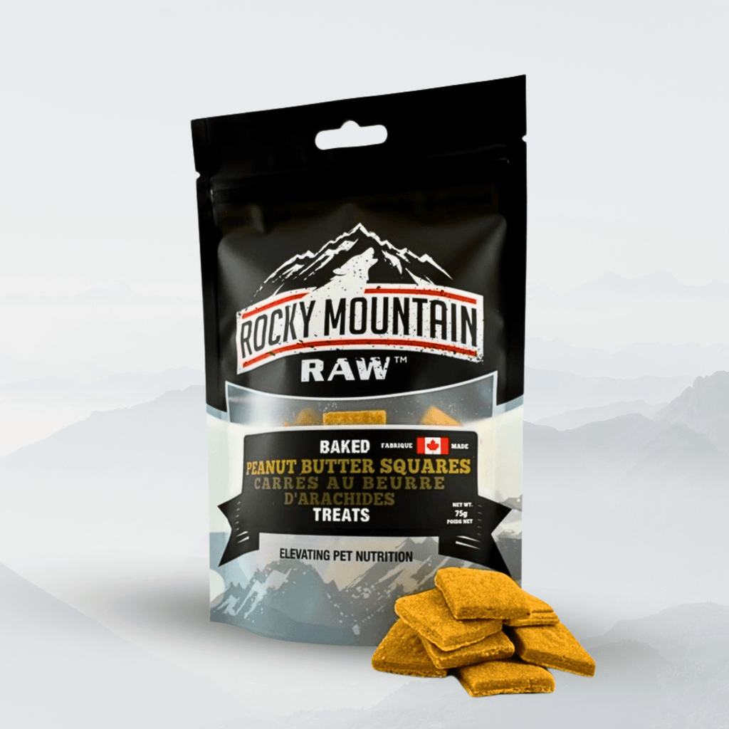 Peanut Butter Squares - Modern Hustle Marketplace