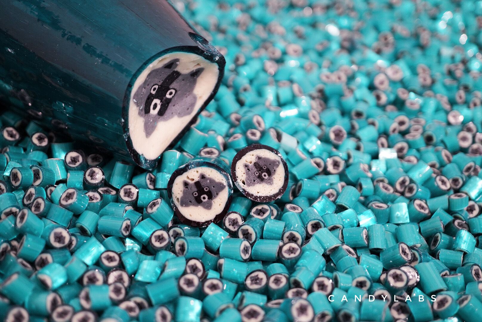 Raccoon - Modern Hustle Marketplace