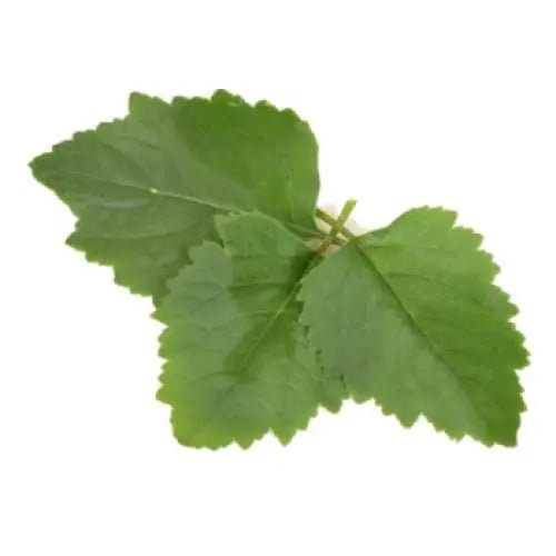 Room & Linen Mists - Patchouli - Modern Hustle Marketplace