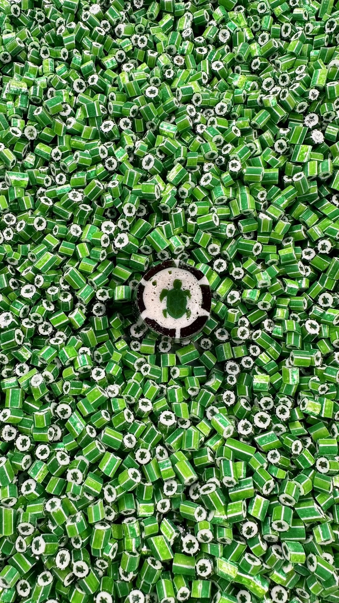 Sea Turtles - Modern Hustle Marketplace