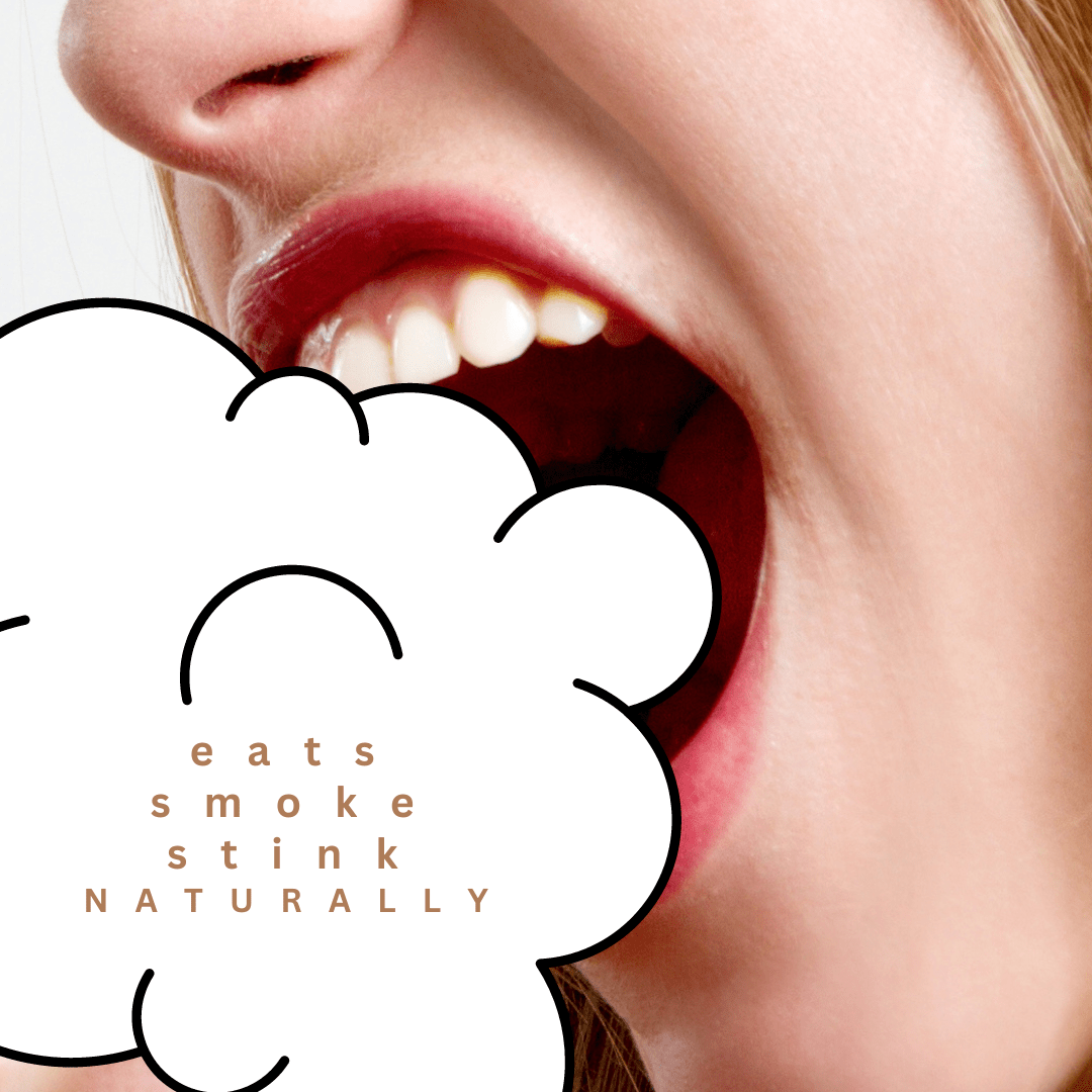 Smoker's Fresh Mist - Calm Forrest - Modern Hustle Marketplace