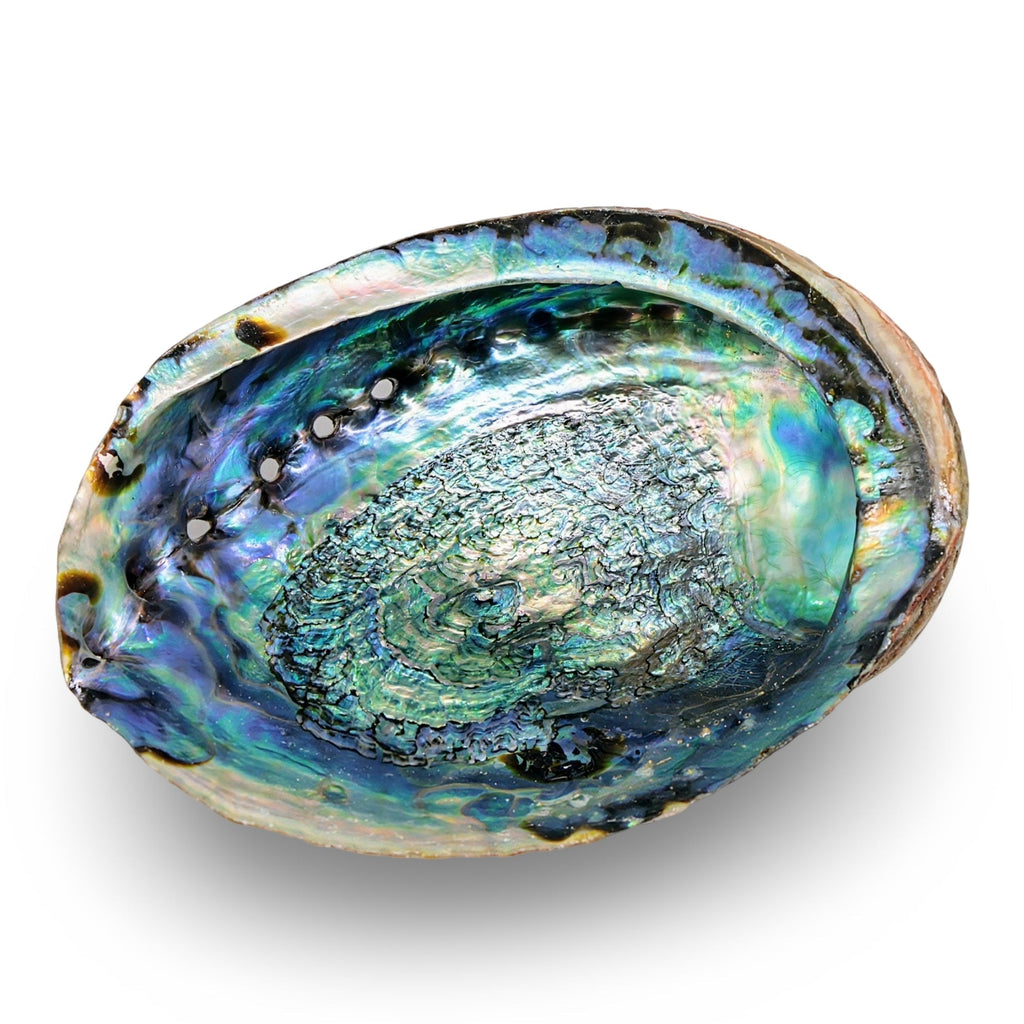 Smudging - Abalone Shell - Modern Hustle Marketplace
