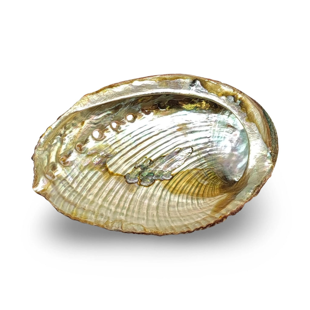 Smudging - Abalone Shell - Modern Hustle Marketplace