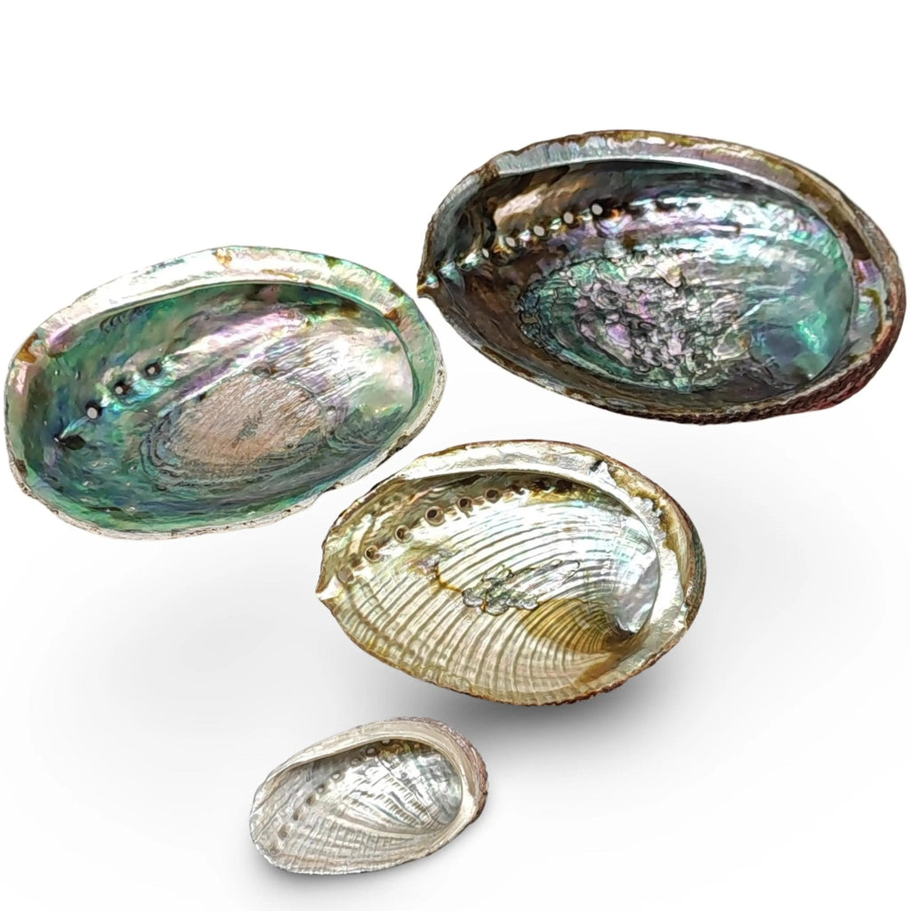 Smudging - Abalone Shell - Modern Hustle Marketplace