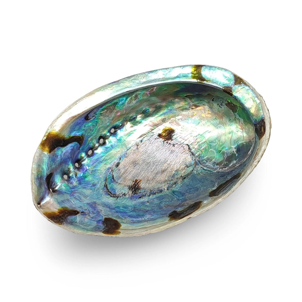 Smudging - Abalone Shell - Modern Hustle Marketplace