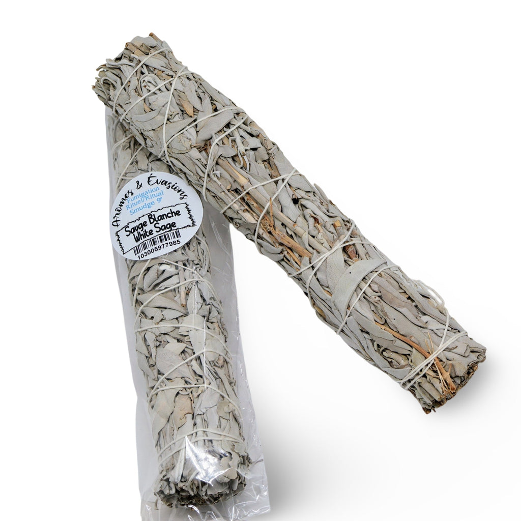 Smudging Incense Stick - Desert White Sage Sage Ritual - 9" - Modern Hustle Marketplace