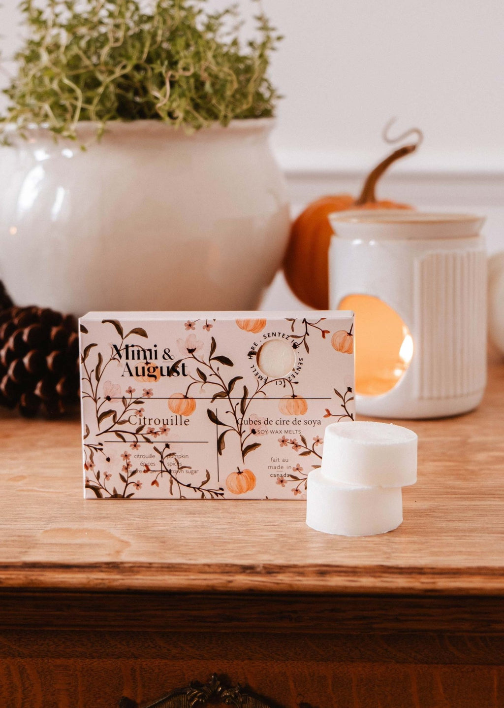 Soy Wax Melts - Citrouille - Modern Hustle Marketplace