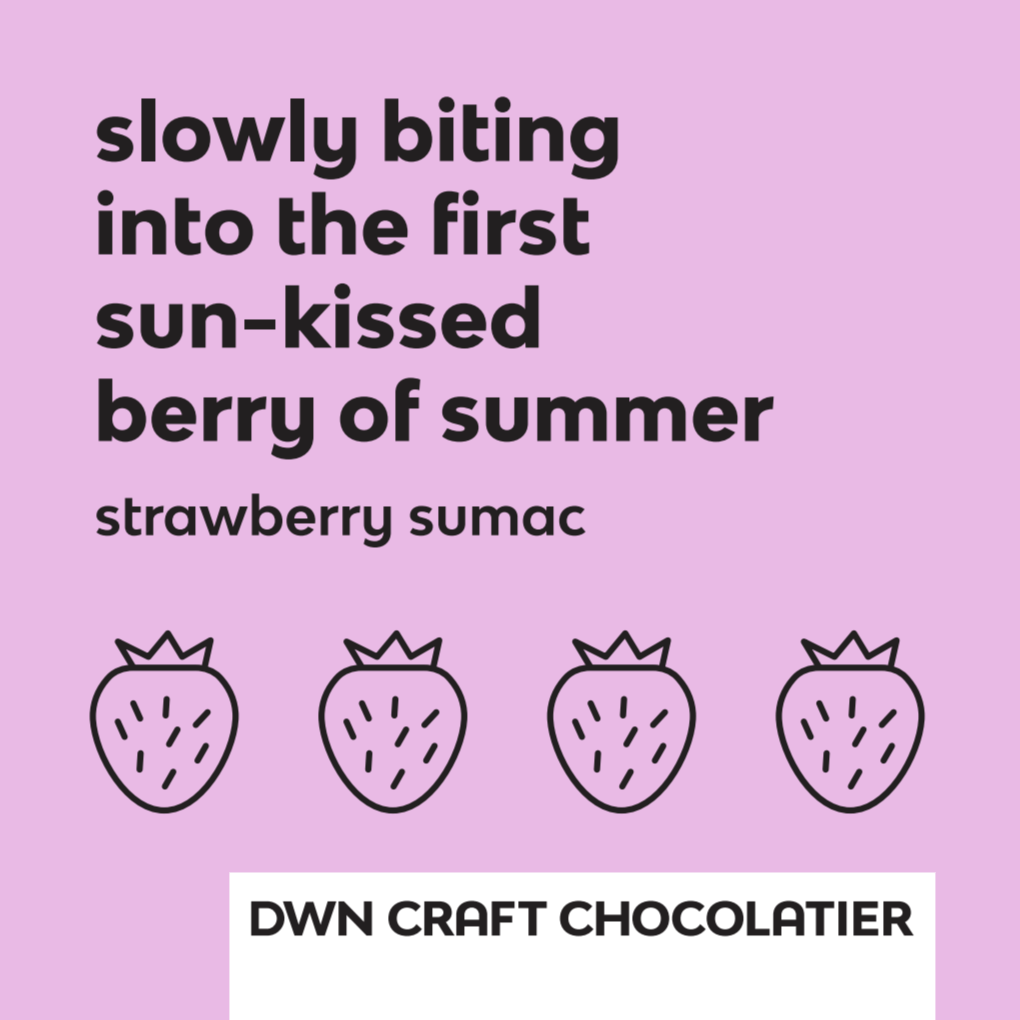 strawberry sumac chocolate bar - Modern Hustle Marketplace