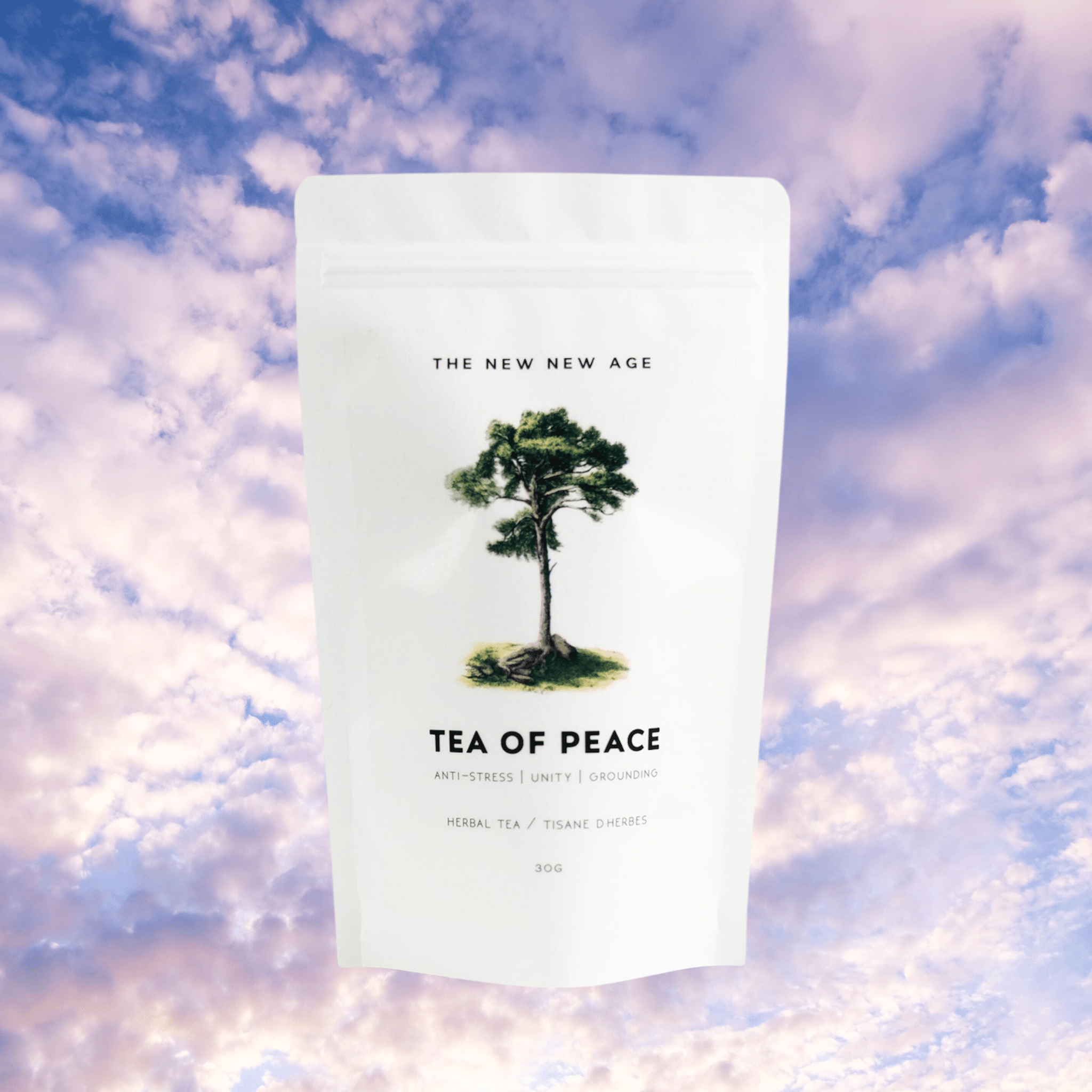 TEA OF PEACE // pine + reishi tea - Modern Hustle Marketplace