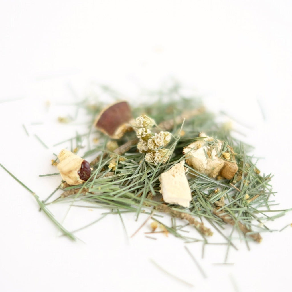TEA OF PEACE // pine + reishi tea - Modern Hustle Marketplace