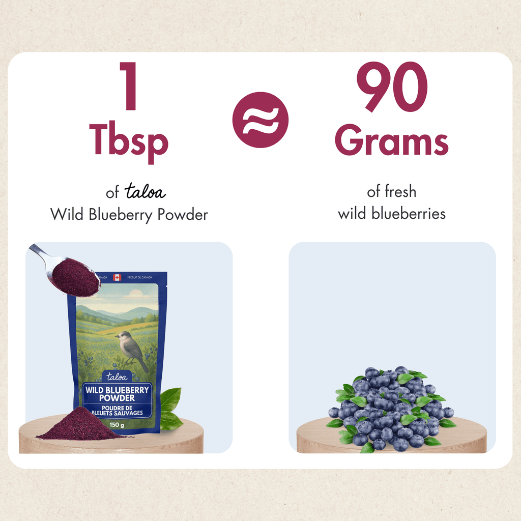 Wild Blueberry Powder 150 g - Made in Canada - Modern Hustle Marketplace