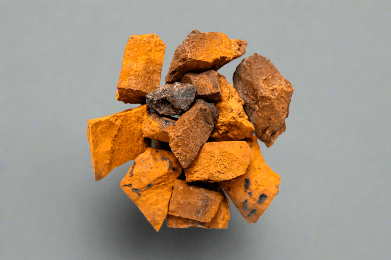 Wild Harvested Chaga Mushroom - Modern Hustle Marketplace