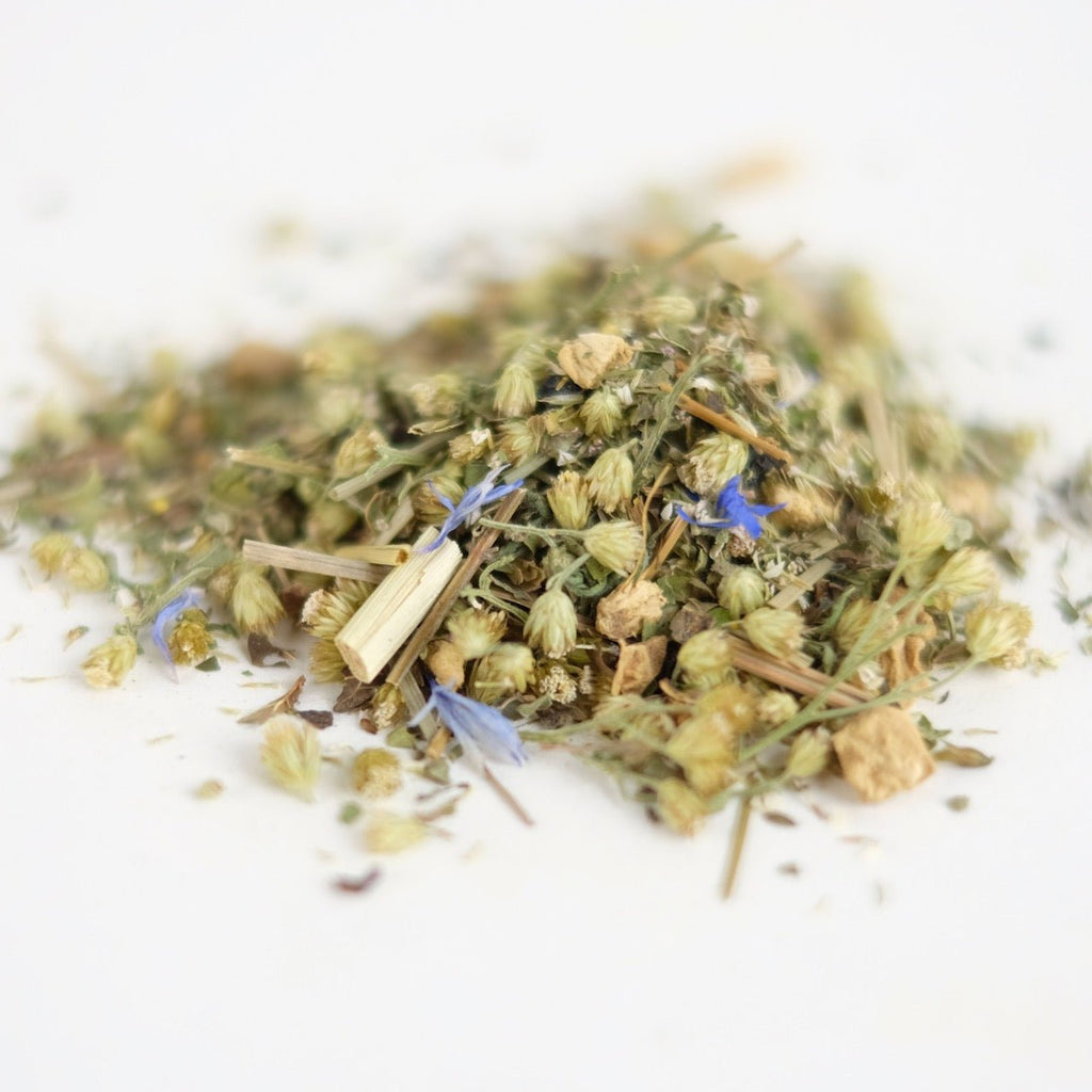WOUNDED HEALER // lemon balm + ginger + yarrow - Modern Hustle Marketplace